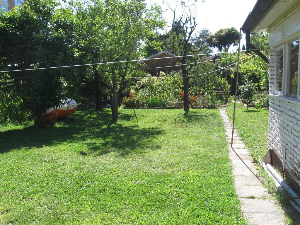 Hostal Entre Araucarias Temuco Exteriör bild